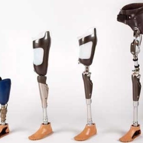 Artificial Limbs